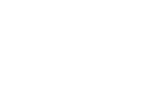 Patch Merch Logo 300